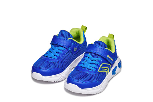 GEOX Sneakers Junior Assister Royal/Lime