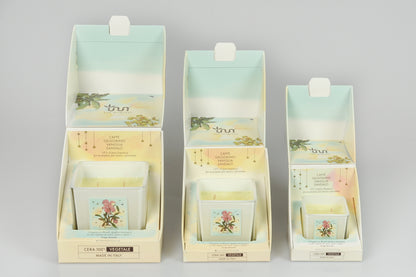 INNBAMBOO Aromatic Candle BRASILE
